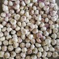 New Crop Normal White Garlic with High Quality